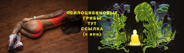 МДПВ Инта
