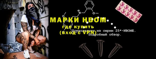 МДПВ Каменка