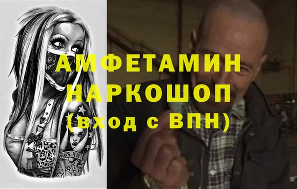МДПВ Каменка