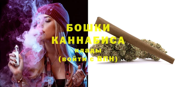 МДПВ Инта