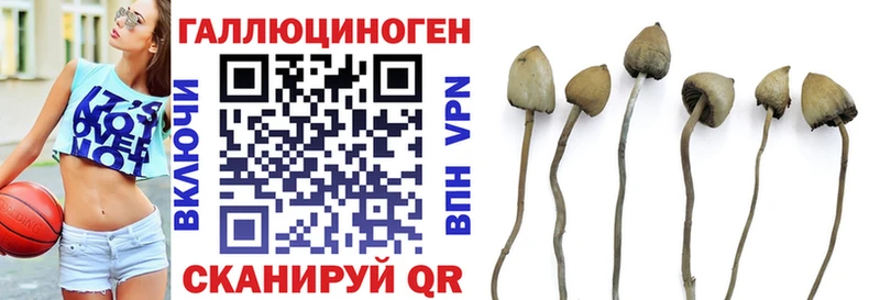 блэк спрут маркетплейс  Советская Гавань  Псилоцибиновые грибы прущие грибы  закладка 